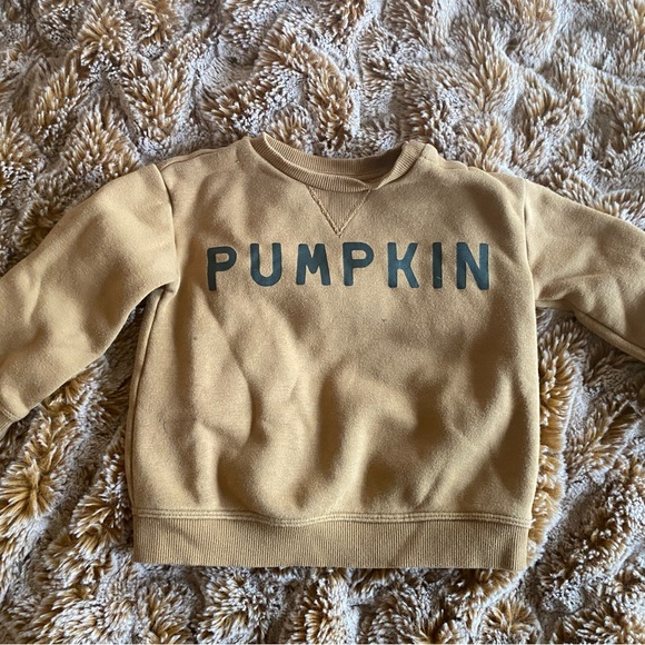 Lauren Conrad Little Co pumpkin sweatshirt in size 24 months - Picture 2 of 6